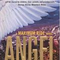 Cover Art for 9780606311533, Angel by James Patterson